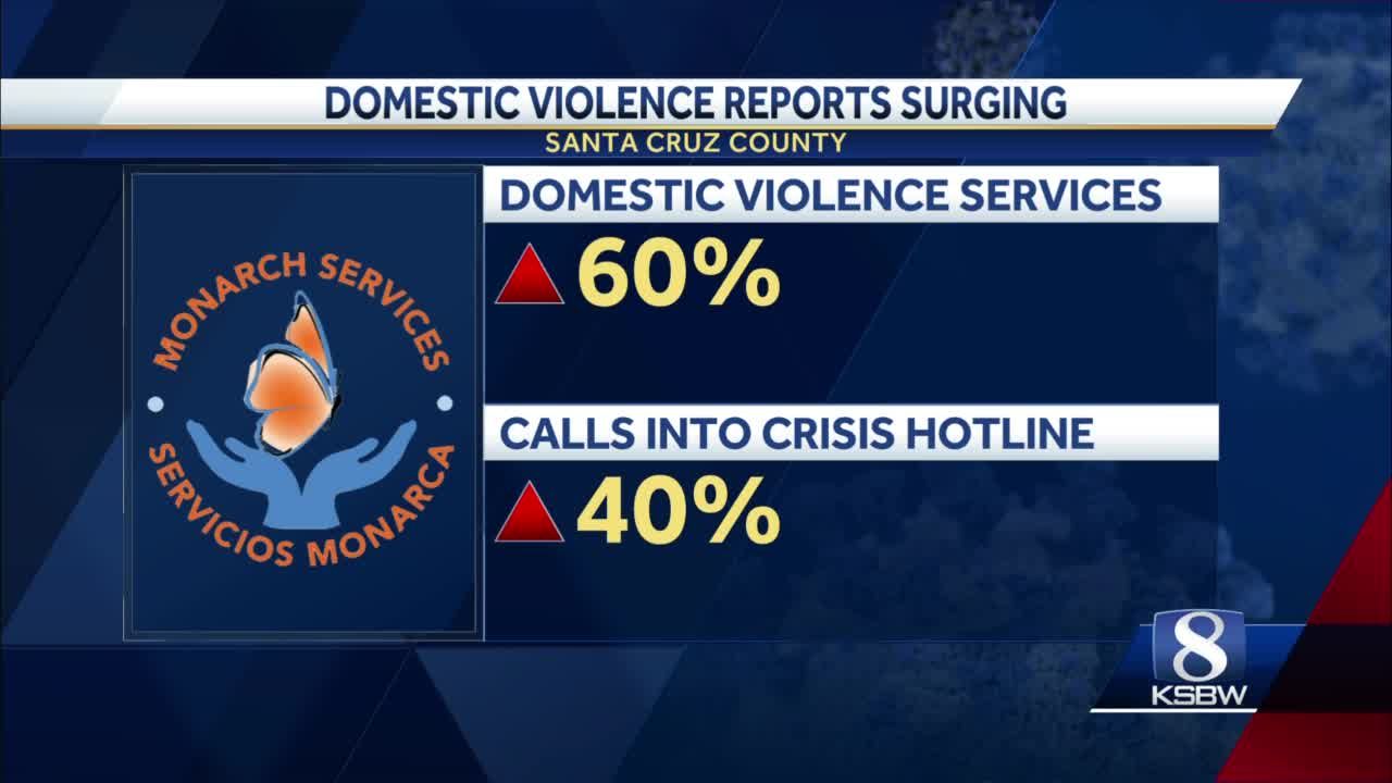 Domestic violence services spike in Monterey Santa Cruz Counties