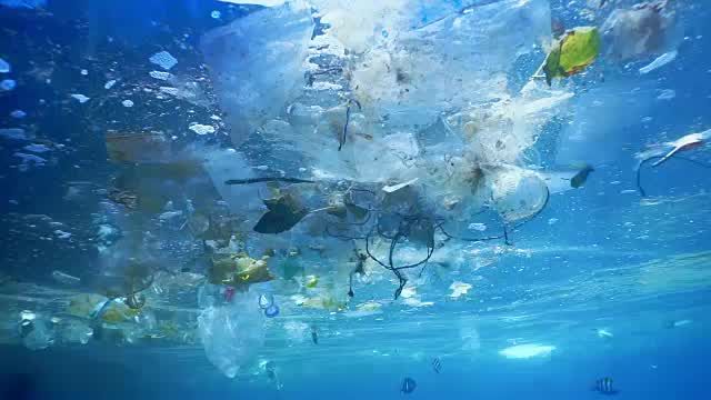 preview for The Great Pacific Garbage Patch
