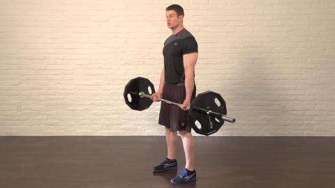 preview for Standing Barbell Curl