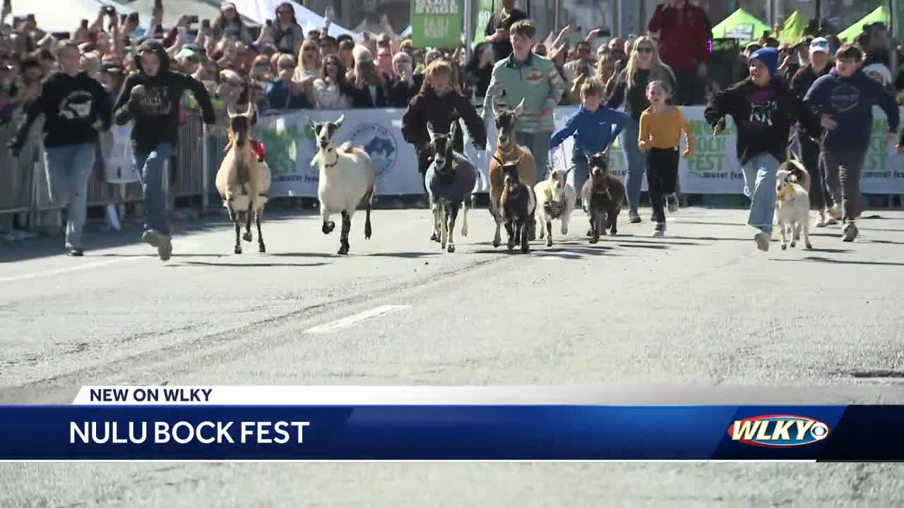 NuLu Bock Fest features baby goat racing
