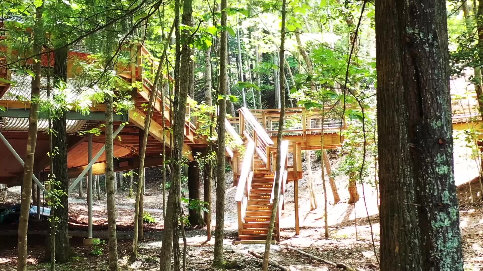 This Guy Built an Incredible 100-Foot-High Treehouse