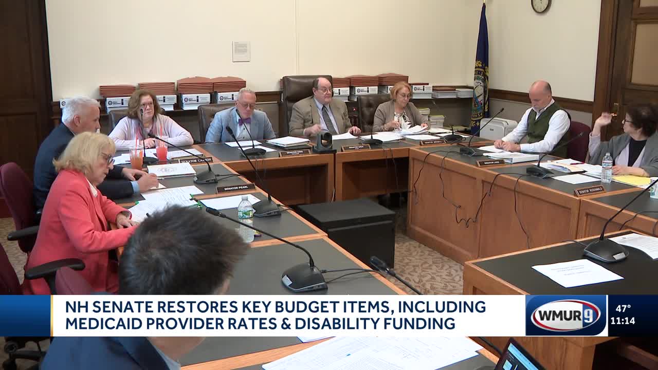 NH Senate restores key budget items, including Medicaid provider rates, disability funding