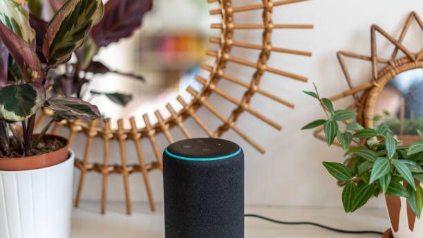 s Alexa offers dangerous advice to 10-year-old to touch penny to  exposed plug socket