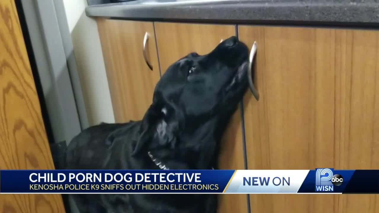 Schoolgirl Dog Porn - Wisconsin police dog sniffs out child porn, electronics