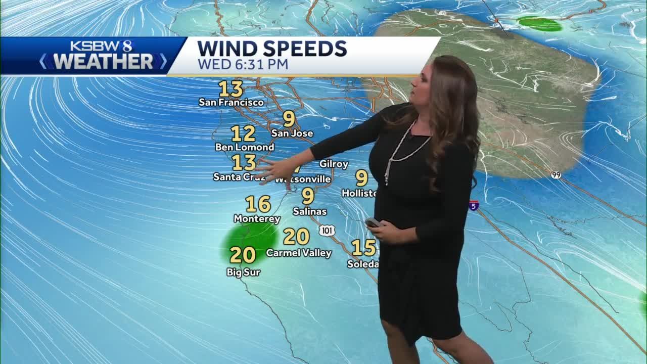 Mild temps with some windy conditions