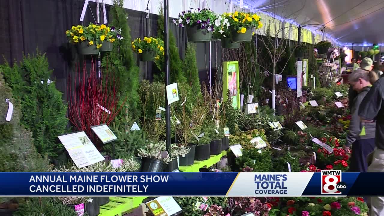 Maine Flower Show Canceled Flipboard