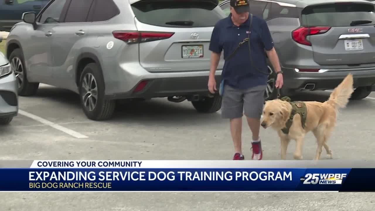 Big Dog Ranch Rescue expanding service dog training program for veterans