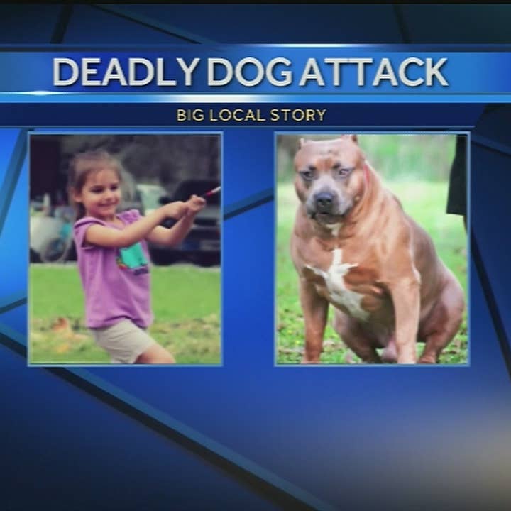 Mother injured, daughter killed in dog attack