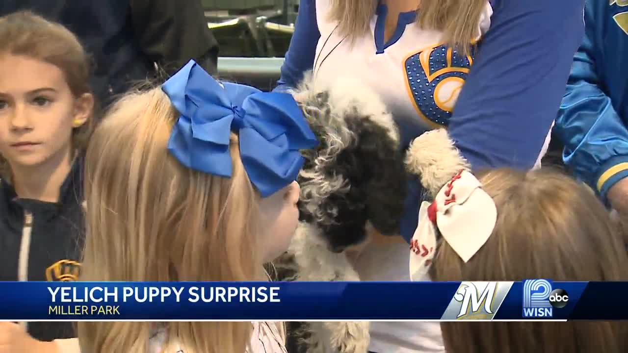 Brewers' Christian Yelich surprises Muskego girls with puppy