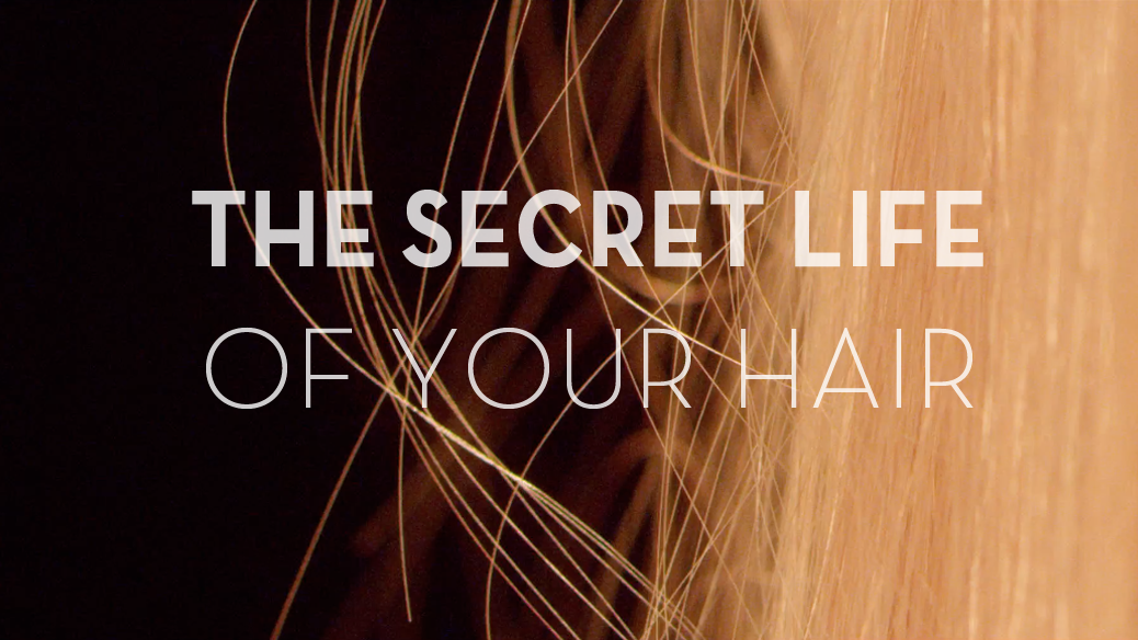 preview for The Secret Life Of Your Hair