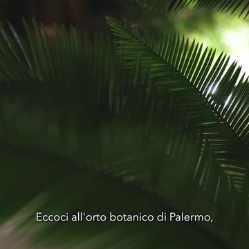 Aveda celebra il Mese della Terra a Palermo con Oxfam Italia