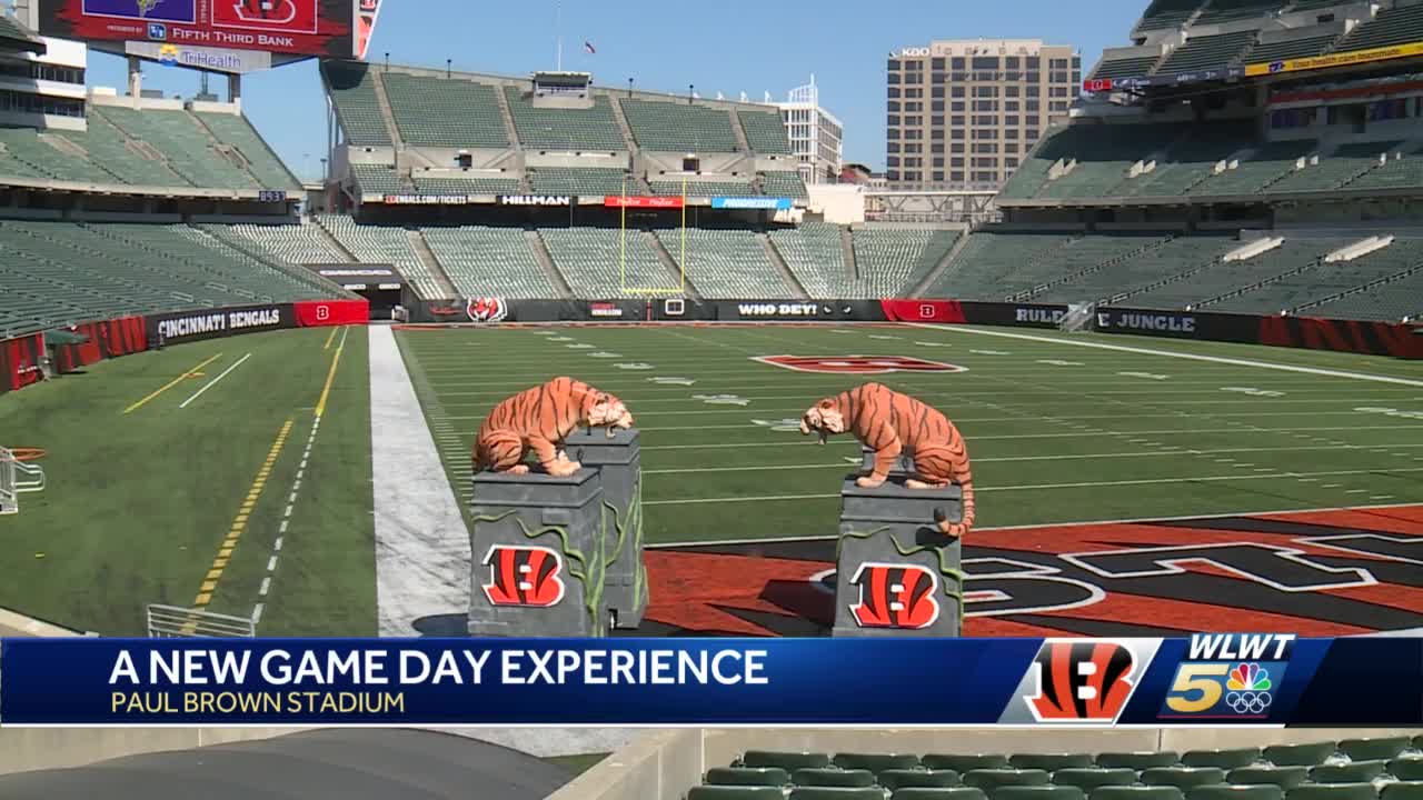 The Bengals are cool. What does this mean for Paul Brown Stadium