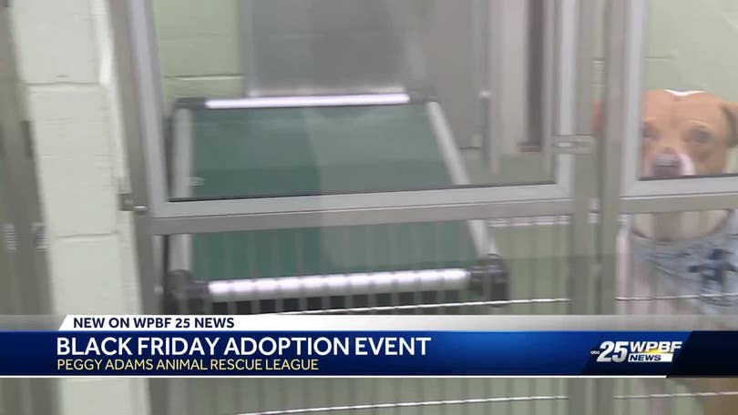 Peggy Adams Animal Rescue League Black Friday deals