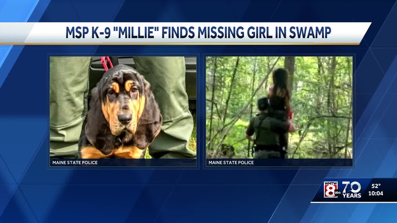 Maine State Police bloodhound helps rescue 5-year-old with autism