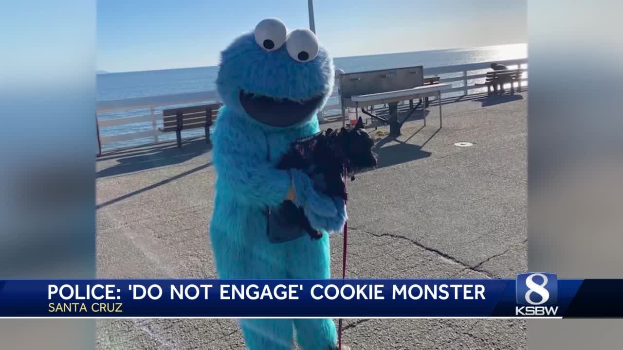 Do not engage man dressed in Cookie Monster costume at Santa Cruz