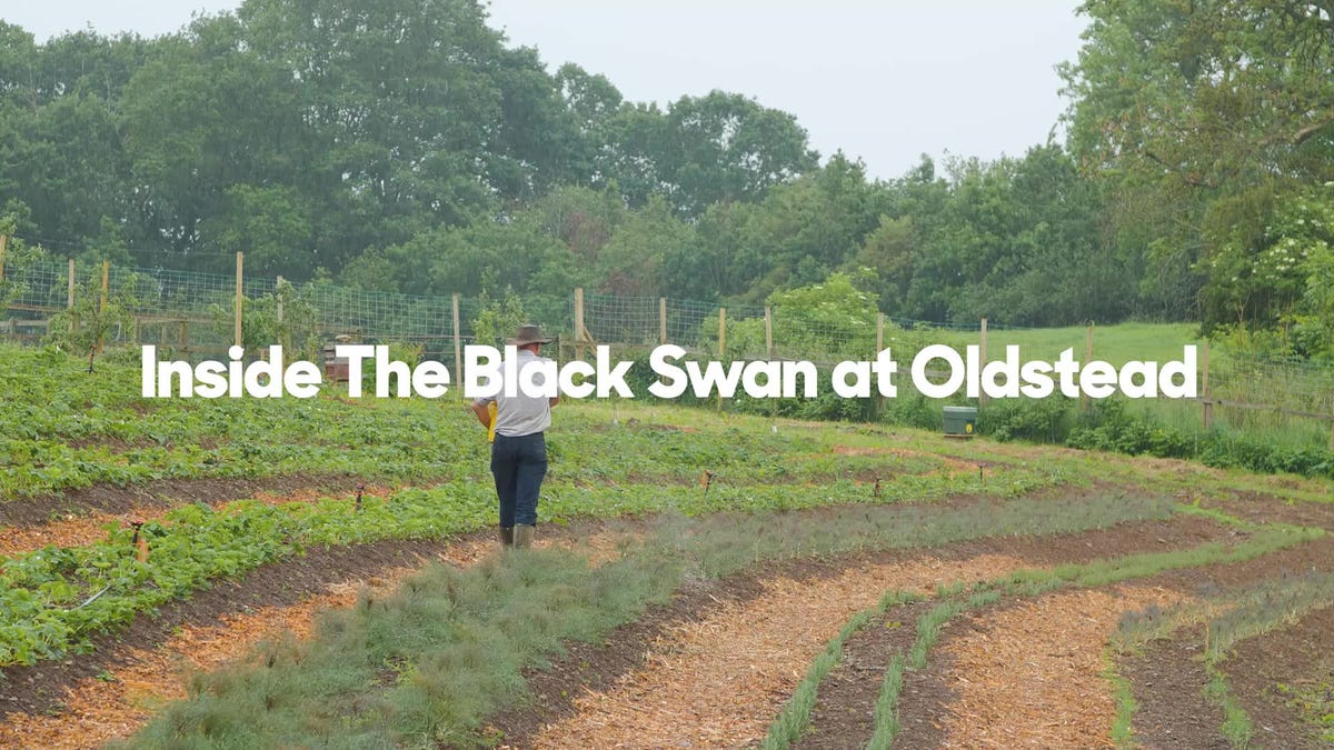 preview for Inside the Black Swan at Oldstead with Tommy Banks