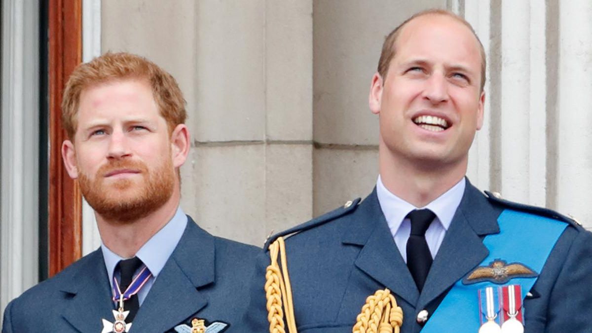 preview for Princes William and Harry Reveal How Prince Charles Quietly Took Them 'Litter Picking' as Kids