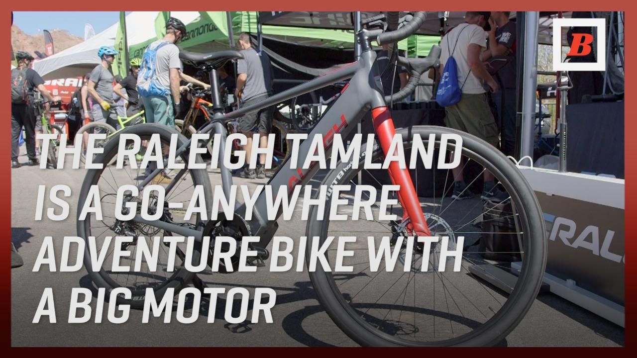 Raleigh tamland hot sale ie