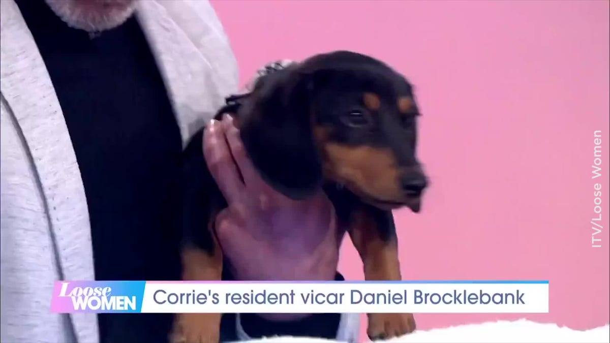 preview for Coronation Street's Daniel Brocklebank brings adorable rescued daschund onto Loose Women