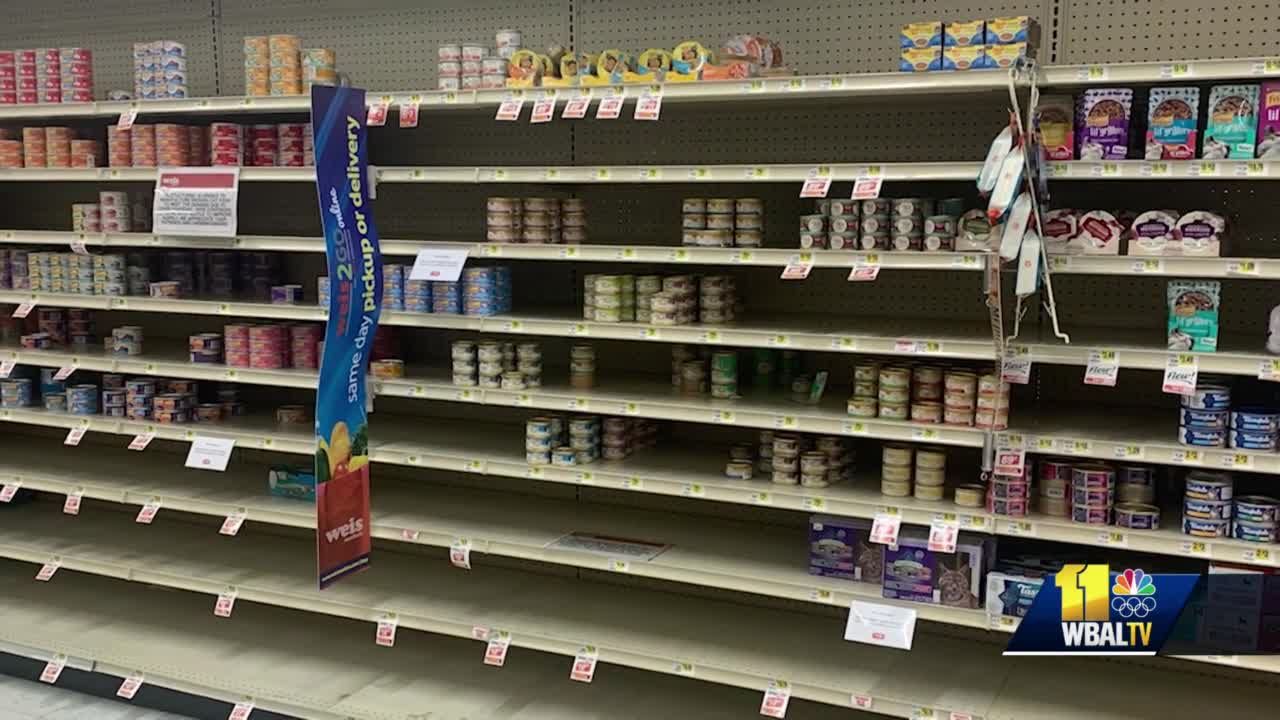 Supply chain issues cause shortage of wet cat food at shelters