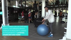 Swiss ball, Ball, Exercise equipment, Physical fitness, Fitness professional, Strength training, Circuit training, Exercise, Gym, Medicine ball, 