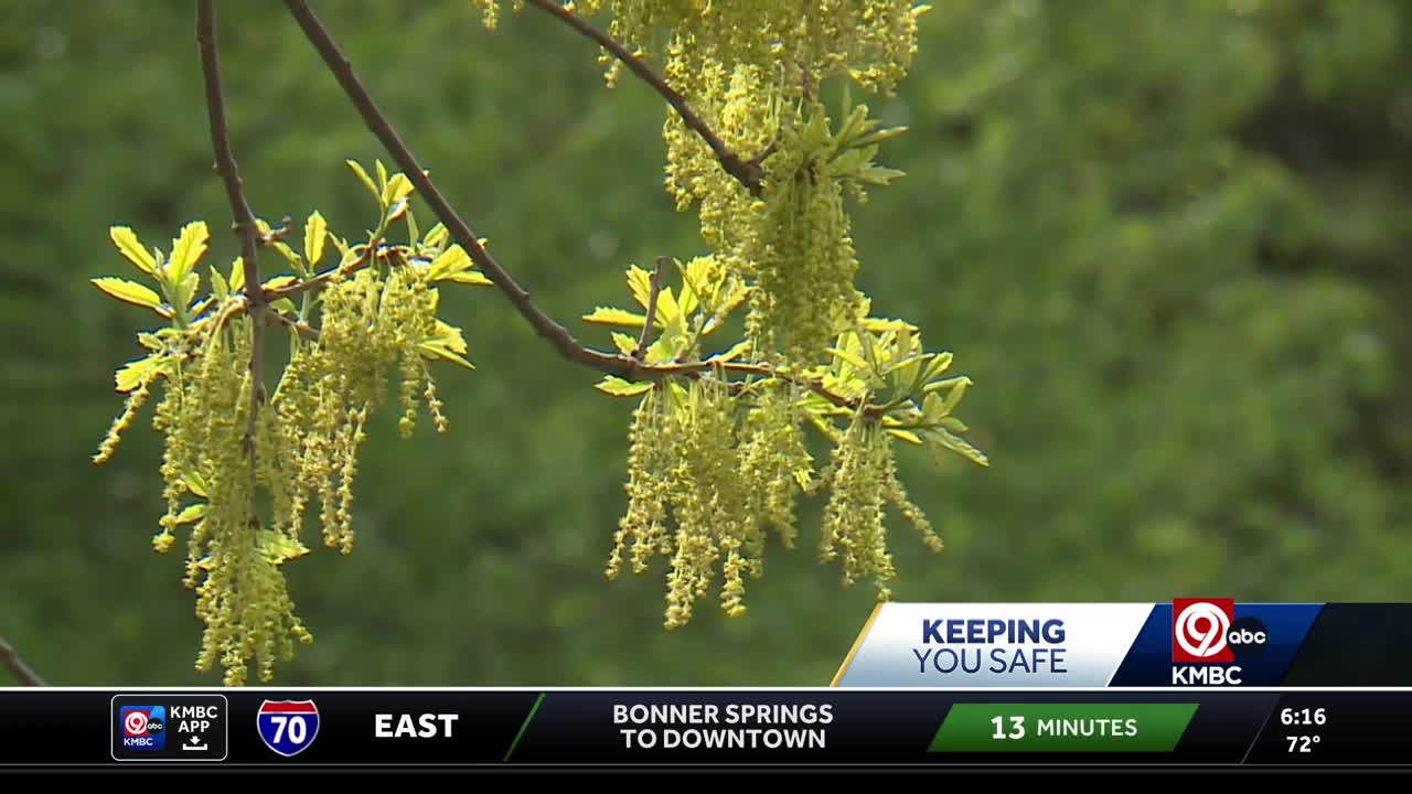 Kansas City metro residents' allergies flaring up due to pollen