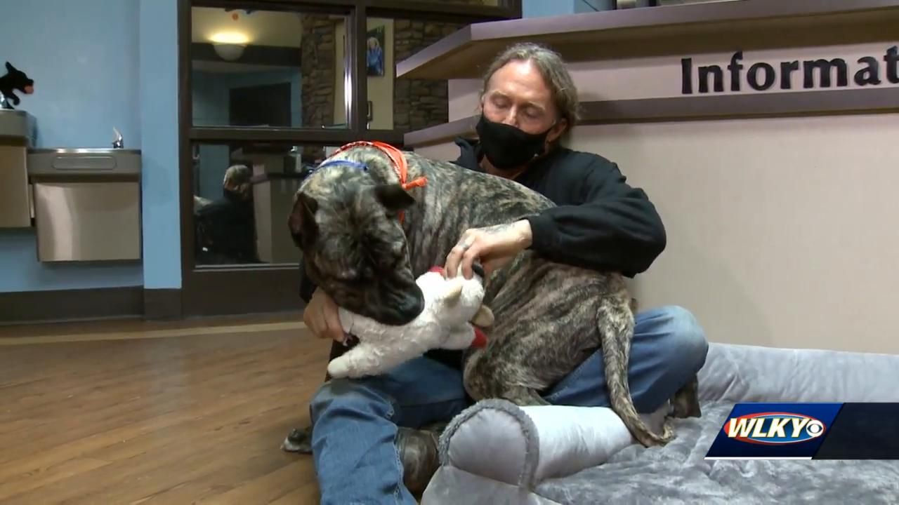 Beloved Louisville rescue dog Ethan marks 1 year since his rescue
