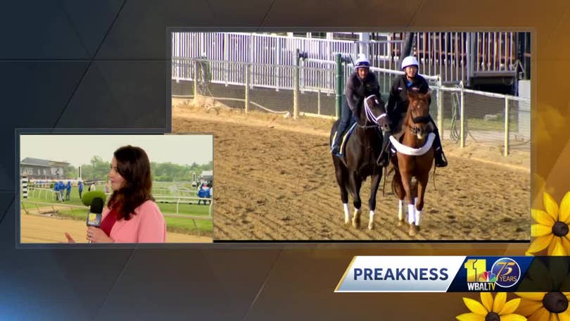 Preakness 2023: Your guide to the 148th running of the Preakness