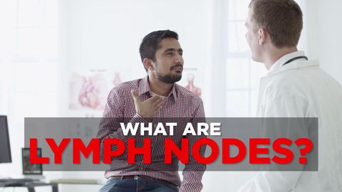 preview for What Are Lymph Nodes?