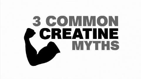 preview for Creatine Myths