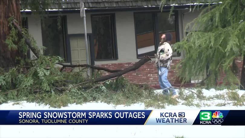 Spring snowstorm downs trees, causes power outages in Sonora