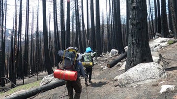 surviving the sierra, day 1