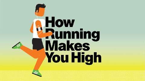 preview for How Running Makes You High