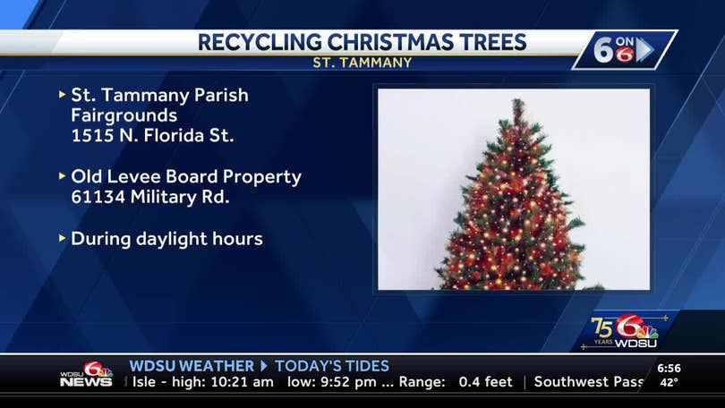 States Recycle Christmas Trees for Fish Habitats