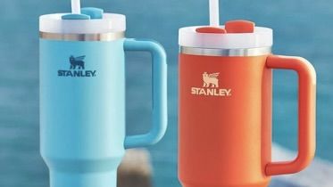 Stanley Quencher H2.0 FlowState 40 oz Tumbler - Rosewood Glow:  Tumblers & Water Glasses