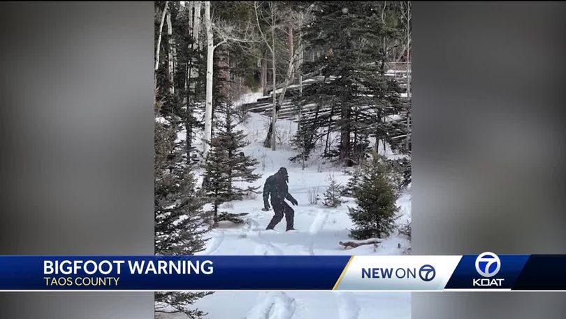 Bigfoot warnings in state parks are hoax: state agency 