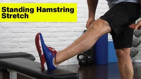 preview for Standing Hamstring Stretch