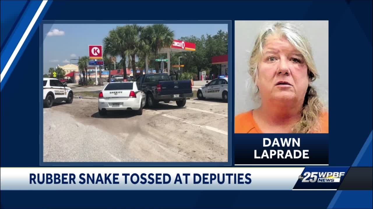 Vero Beach woman identified in high-speed chase, accused of throwing snake at deputies