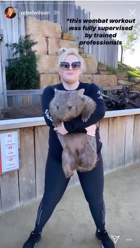 Rebel Wilson Doing Squats With A Wombat Is Complete Fitspiration