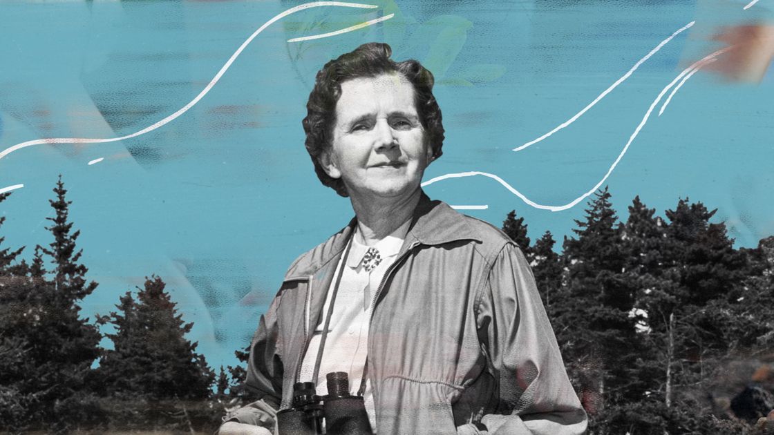 preview for Biography: You Need To Know: Rachel Carson