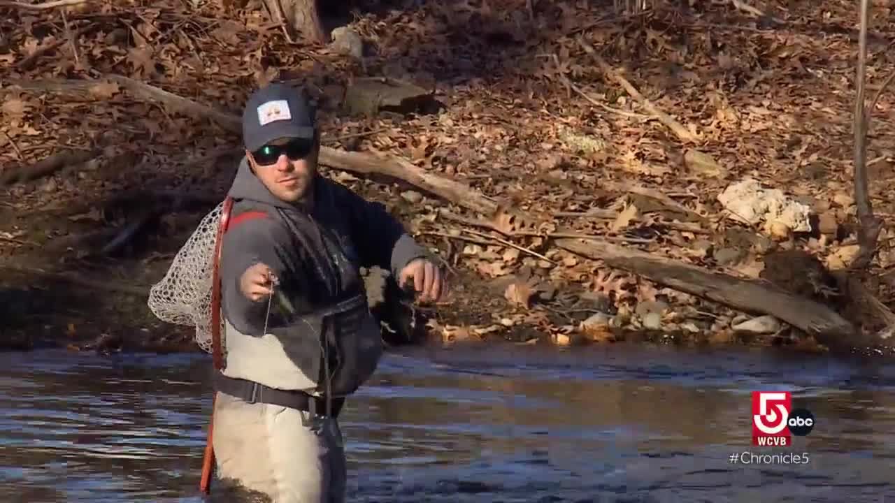 trout fishing with trout magnet｜TikTok Search