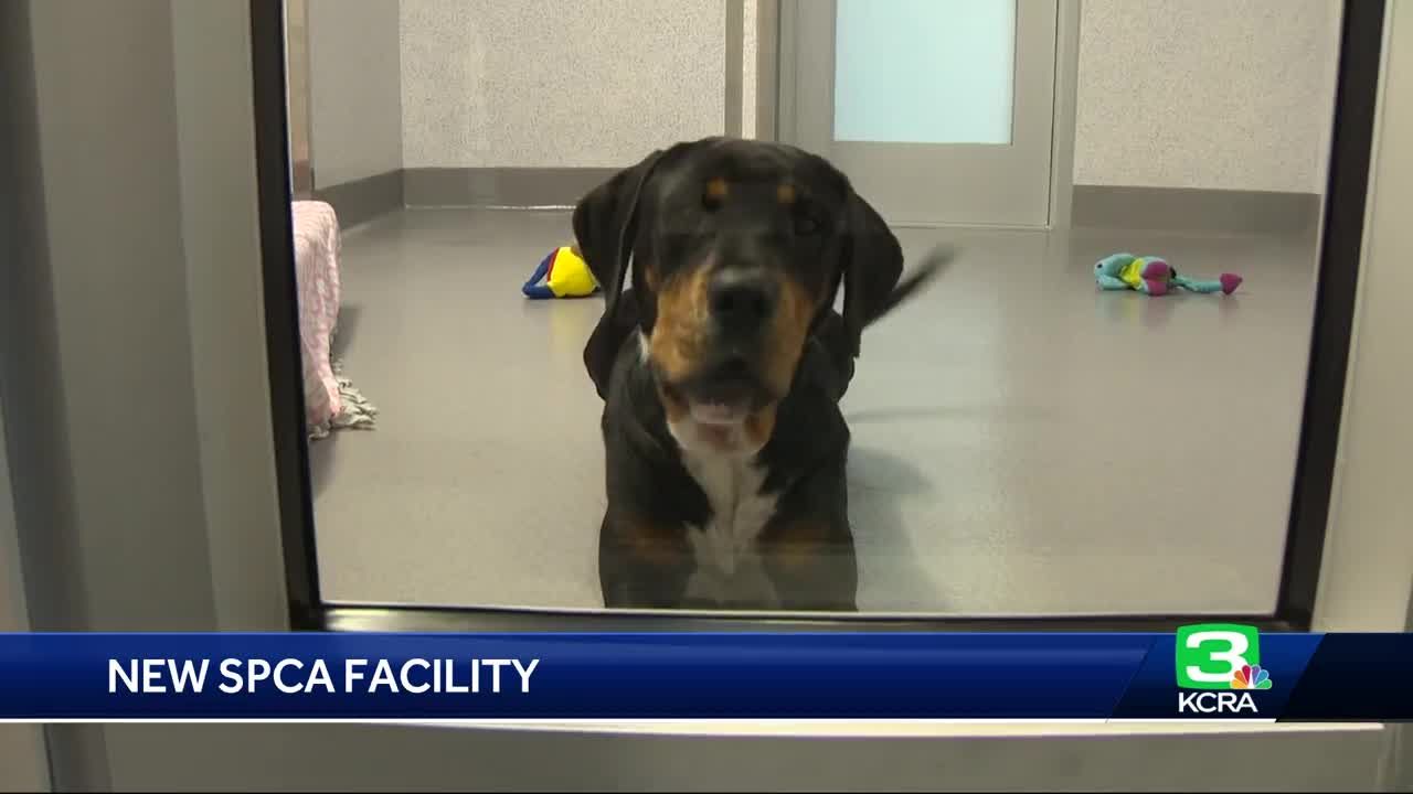 Placer SPCA unveils new Roseville location Placer SPCA unveils new Roseville location