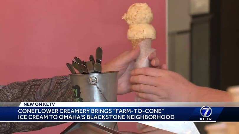 Hottest Desserts In The Metro Coneflower Creamery Serves Up Farm To Cone Ice Cream