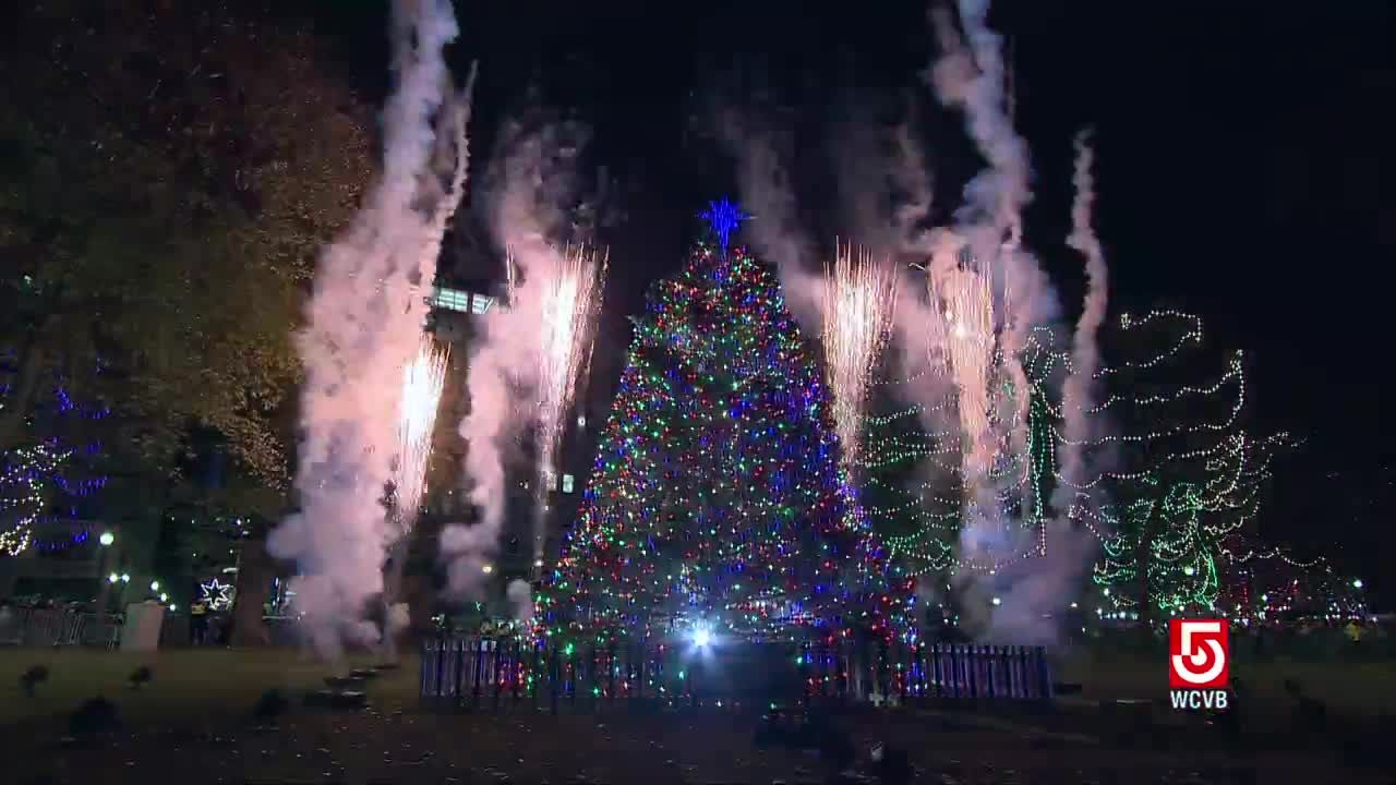 Tree lit on Boston Common with protest gathered nearby