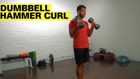 preview for Dumbbell Hammer Curl