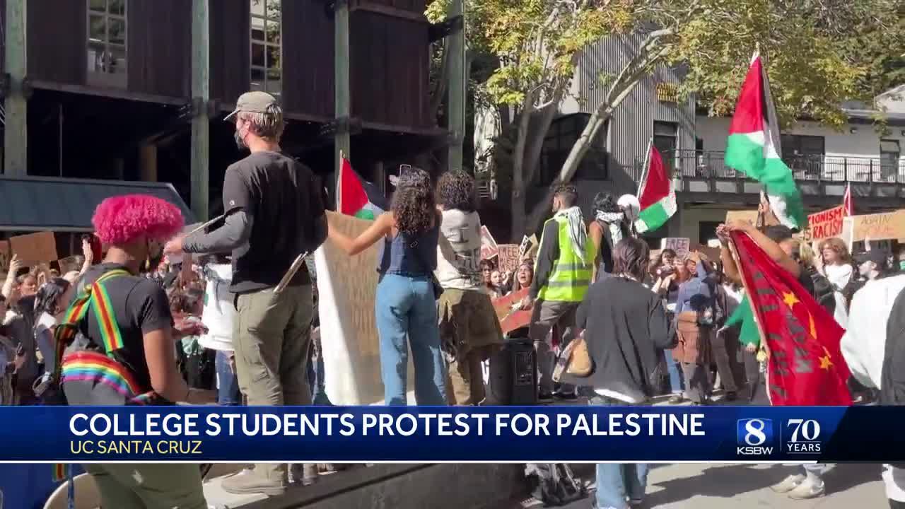 Hundreds of UCSC students march in support of Palestine demand UC