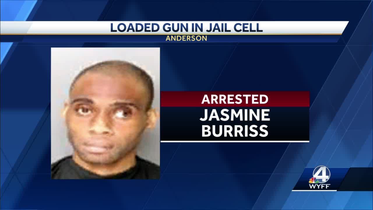 Anderson SC City Jail Arrest