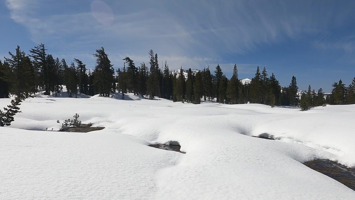 Surviving the Sierra, Day 2