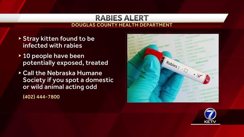 Investigating rabies in Omaha through multi-agency response
