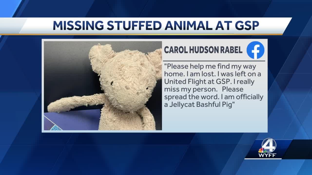 Gsp cheap stuffed animal